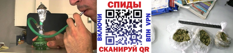 где найти   Борзя  Бутират Butirat 