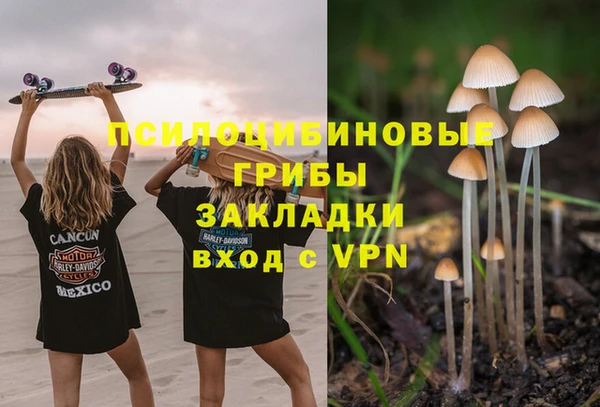 спиды Алзамай