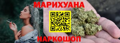 мдпв Бийск