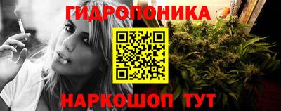 крисы Апшеронск