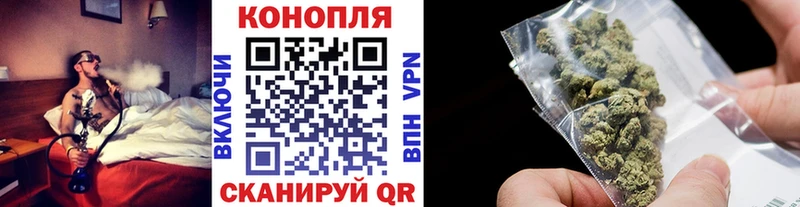 как найти наркотики  Борзя  Конопля конопля 